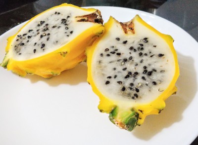 Yellow Pitahaya, exotic fruit from Ecuador and Colombia