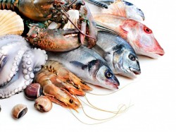 Freshness Southamerican seafoods from Peru, Ecuador, Chile