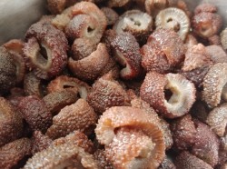 Peruvian sea cucumber slices, dried.  Packed in 100grs and 400grs