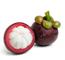 Mangosteen