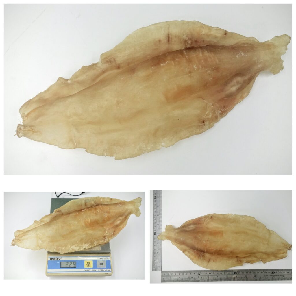 Fish Maw Corvina